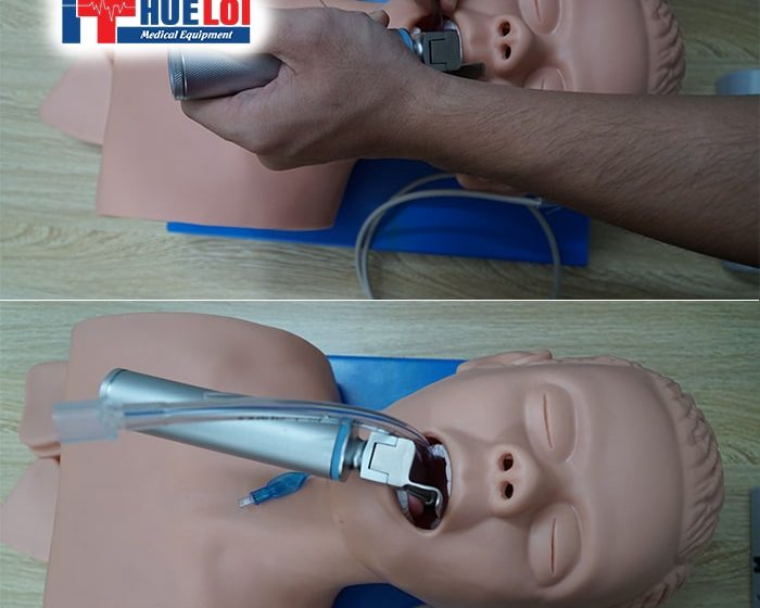 MÔ HÌNH THỰC HÀNH ĐẶT NỘI KHÍ QUẢN