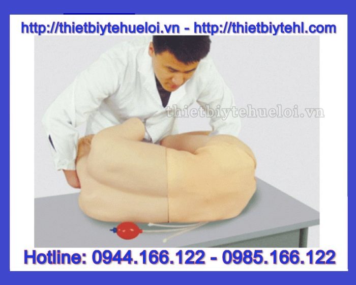 Mô hình thực hành chọc dò tủy sống