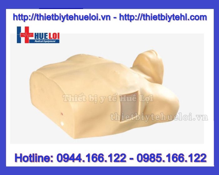 Mô hình thực hành chọc dịch màng phổi