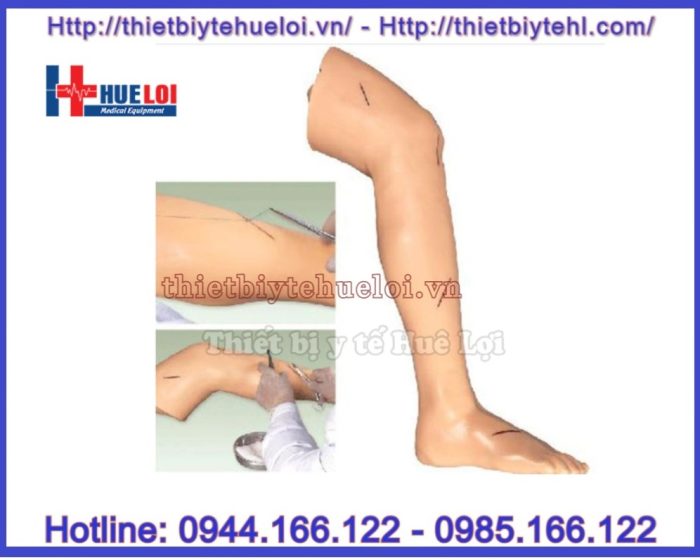 Mô hình chi dưới thực hành khâu vết thương