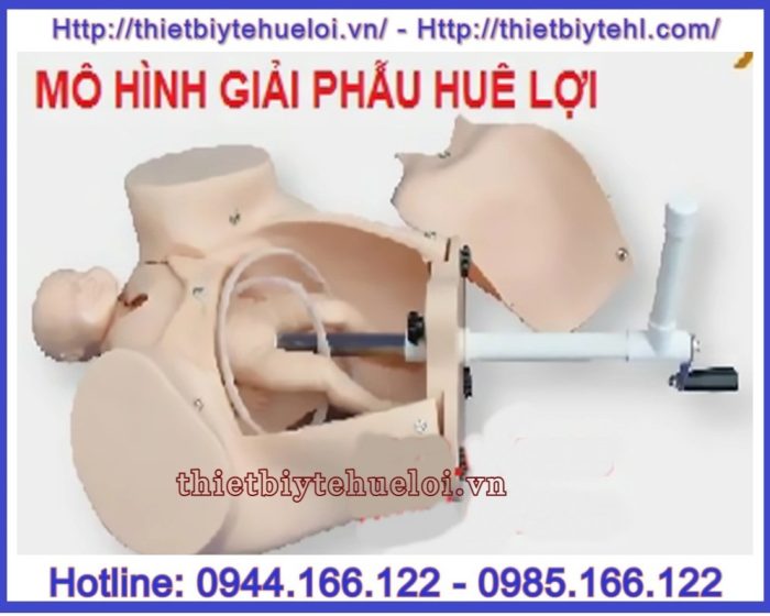 Mô hình thực hành đỡ đẻ đơn giản