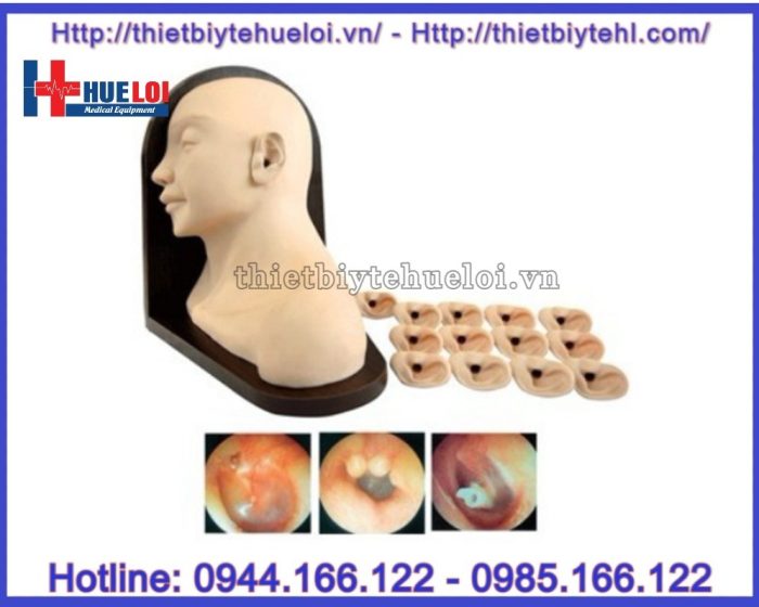 Mô hình thực hành khám tai