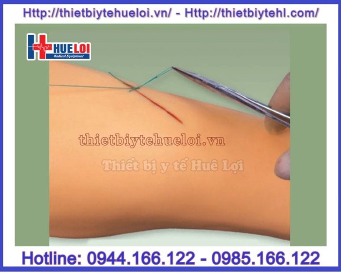 Mô hình chi dưới thực hành khâu vết thương