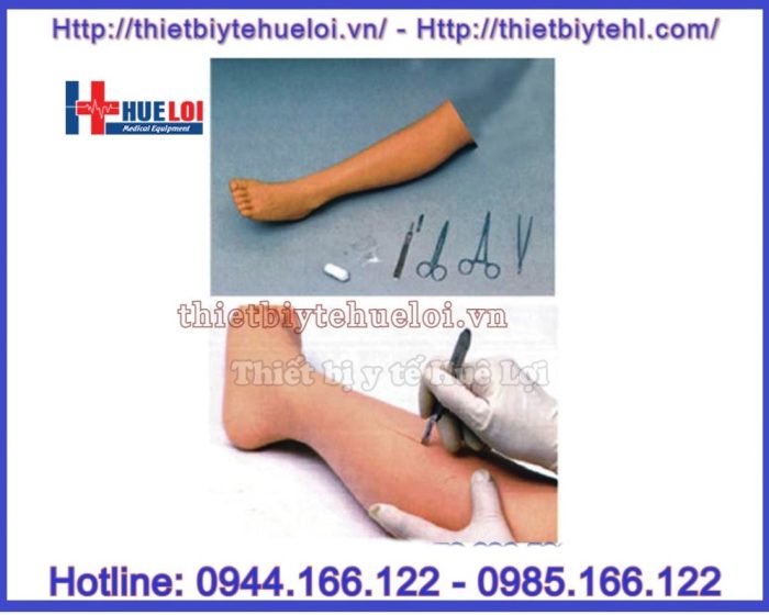 Mô hình chi dưới thực hành khâu vết thương
