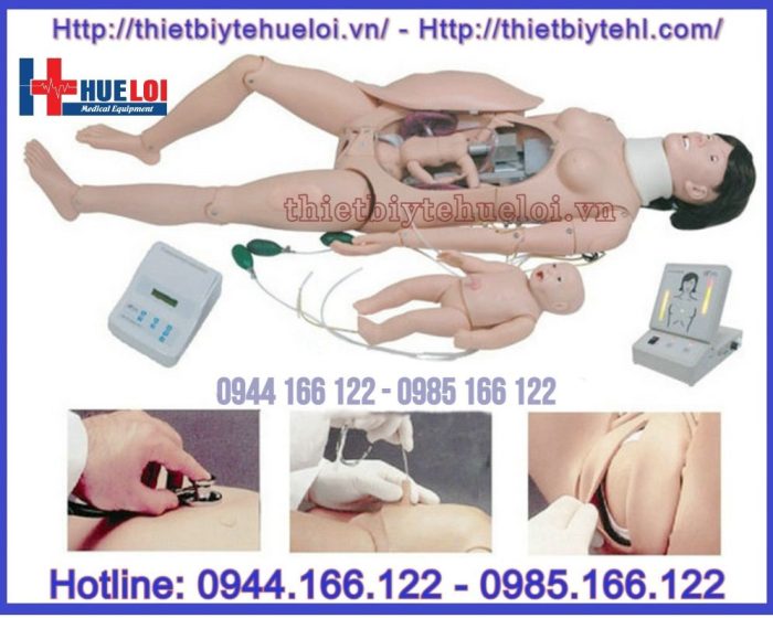 Mô hình đỡ đẻ cao cấp tỉ lệ 1:1
