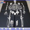 Mô hình bệ xương người tách rời 206 chi tiết