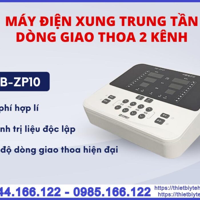 Máy điện xung giao thoa 2 kênh ZP10