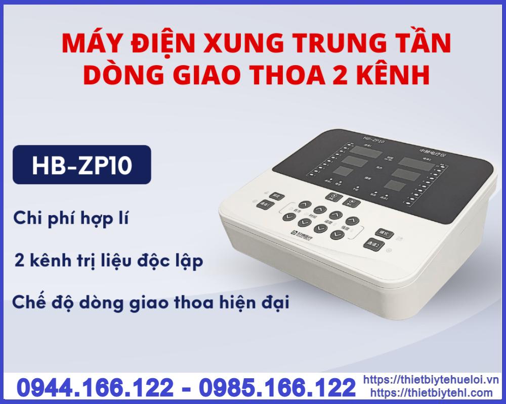Máy điện xung giao thoa 2 kênh ZP10
