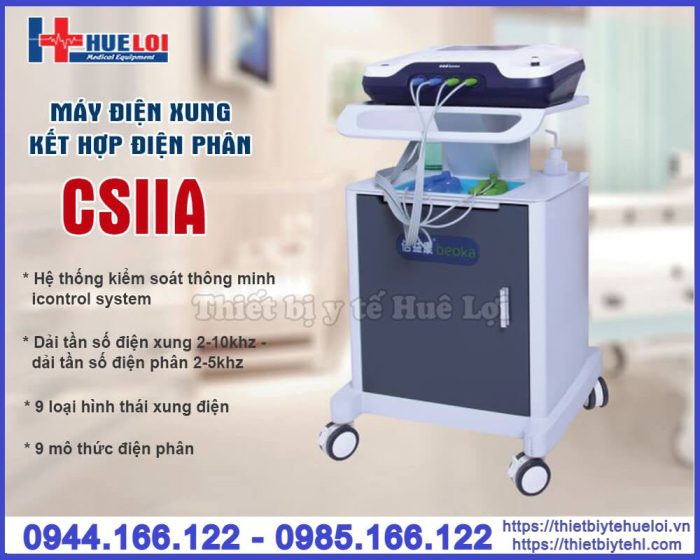 Máy điện xung kết hợp điện phân ZP-100 CSIIA
