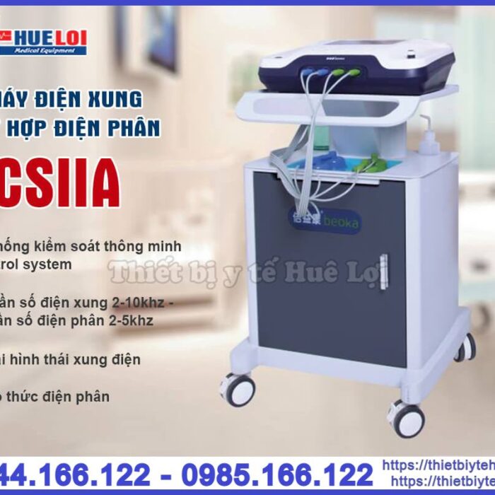Máy điện xung kết hợp điện phân ZP-100 CSIIA